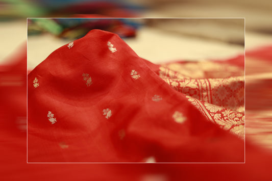 Pure handloom kadhiyal raw mango red saree